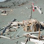 Driftwood hut at Tsusiat Falls