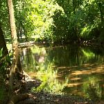 shadowwater