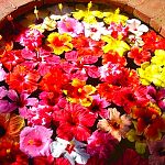 Mayumi_s_Wishing_Well