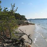 First Landing State park in Virginia