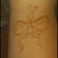 butterfly