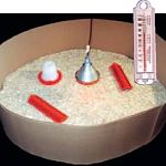 chick_set_up