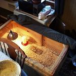 brooderbox