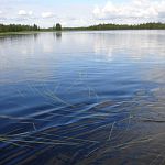 One of the many lakes of Karelia