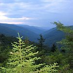 Dolly Sods Wilderness West Virginia