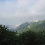 Dolly Sods Wilderness West Virginia