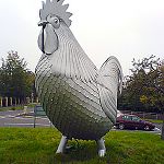 My Giant Cock