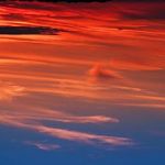 Upside down Nature World 2