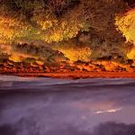 Upside down Nature World 2