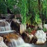 Upside down Nature World 3