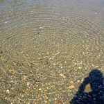 ripples on the water