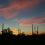 Sunrise