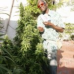 Garden with Lee Bridges the Cannabis Poet