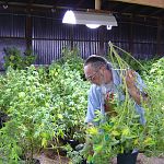 Eddy Lepp Harvesting