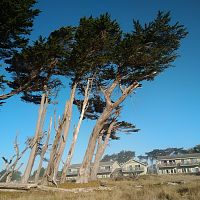 Ft. Bragg, California