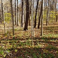 Fall had come