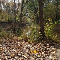 Even more nature