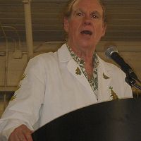 Ed Rosenthal, Cannabis Author