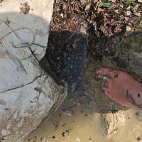 Pond Work 2