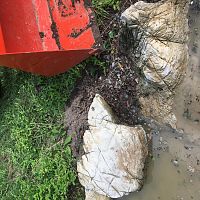 Pond Work 4