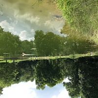 Pond 1
