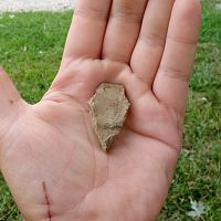Reckon it's an arrowhead