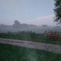 Fog rolls in