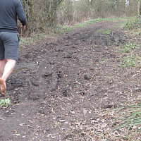 Barefoot in the woods