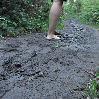 Barefoot in the woods