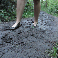 Barefoot in the woods