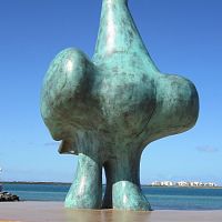 Gaviota