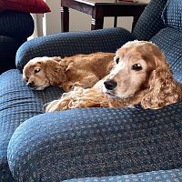 Izzy and rexy
