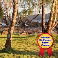 Week Four Photo Contest Winner - Snowy Egret