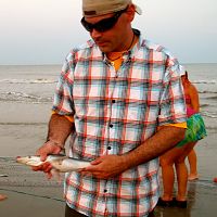 Passionate about sharks