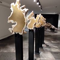Modern Art 4