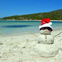 Happy Holidays