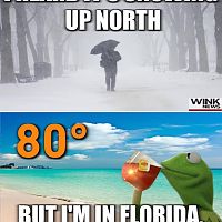Miami weather
