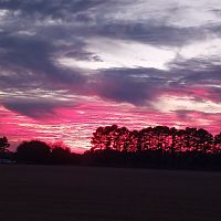 Afternoon sky