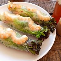 Mexican Spring Rolls
