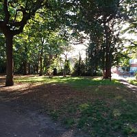 Autumn walk