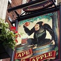 Ape N Apple