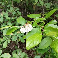 IMG_20230604_095311455