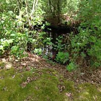 IMG_20230604_112802951