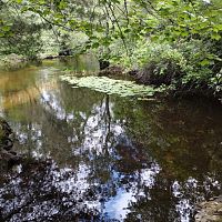 IMG_20230604_112928888