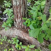IMG_20230604_113129993