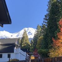 view from deck