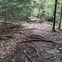 Shades of Death trail
