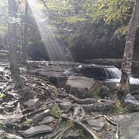 Sunbeam