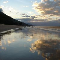 Cape Tribulation Australia