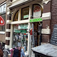 Amsterdam 5